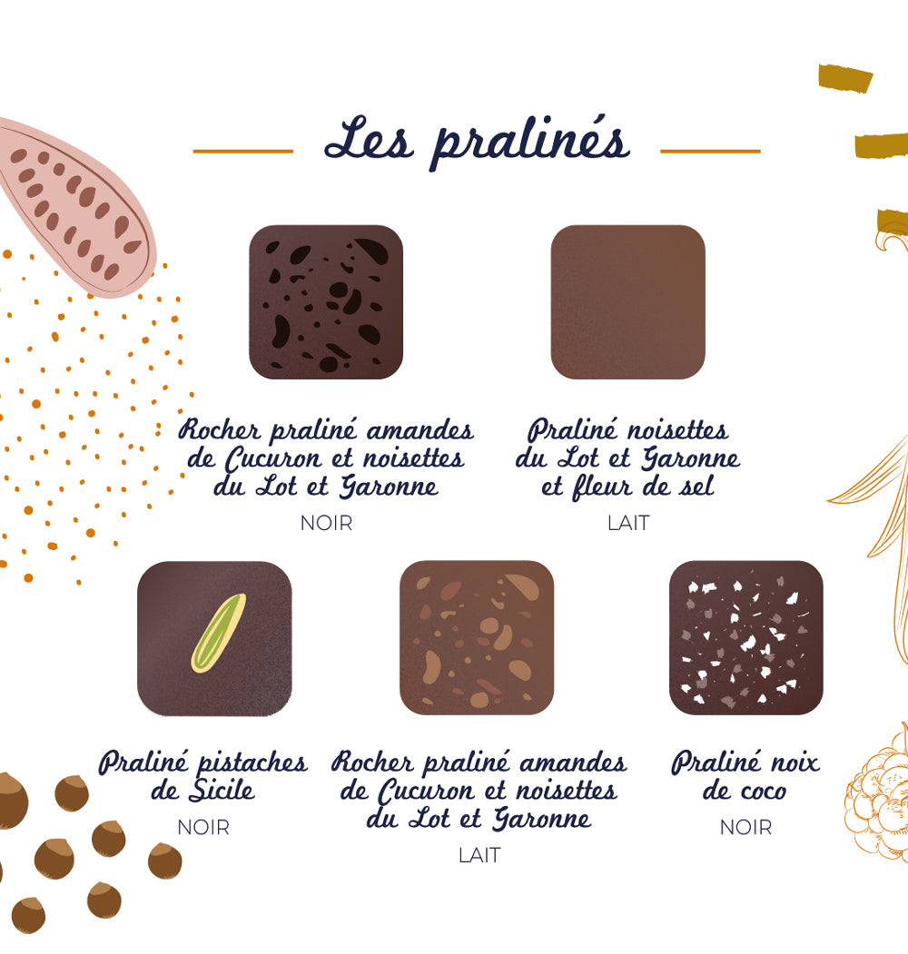 Coffret ganache et pralinés Casse-Noisette