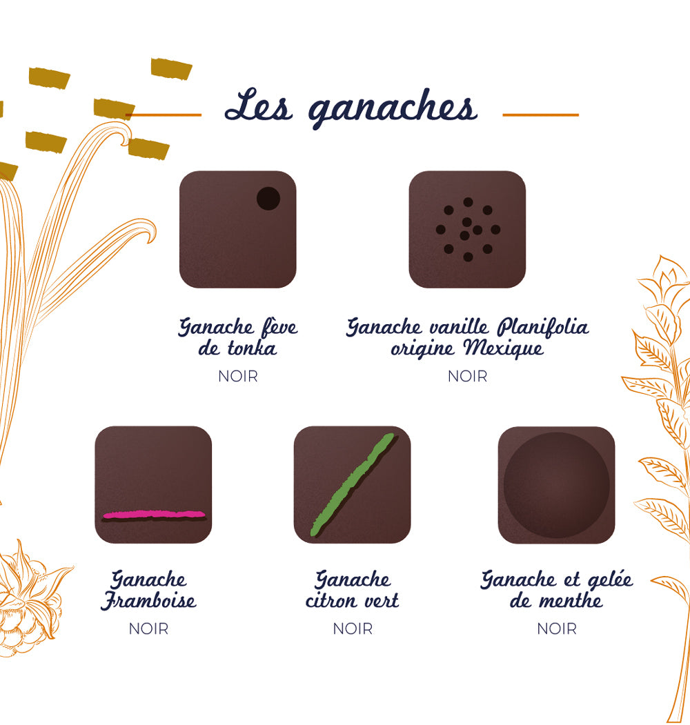 Coffret ganache et pralinés Casse-Noisette