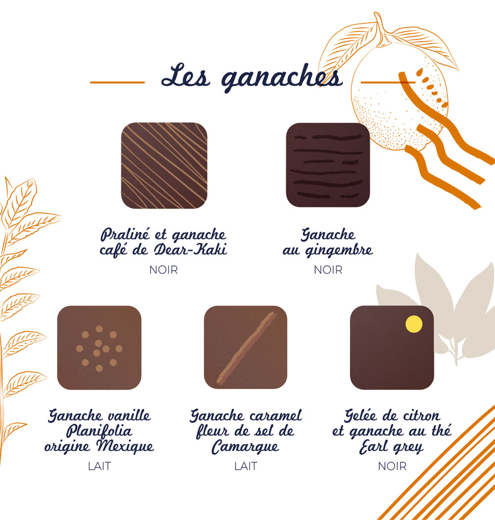 Coffret ganache et pralinés Casse-Noisette