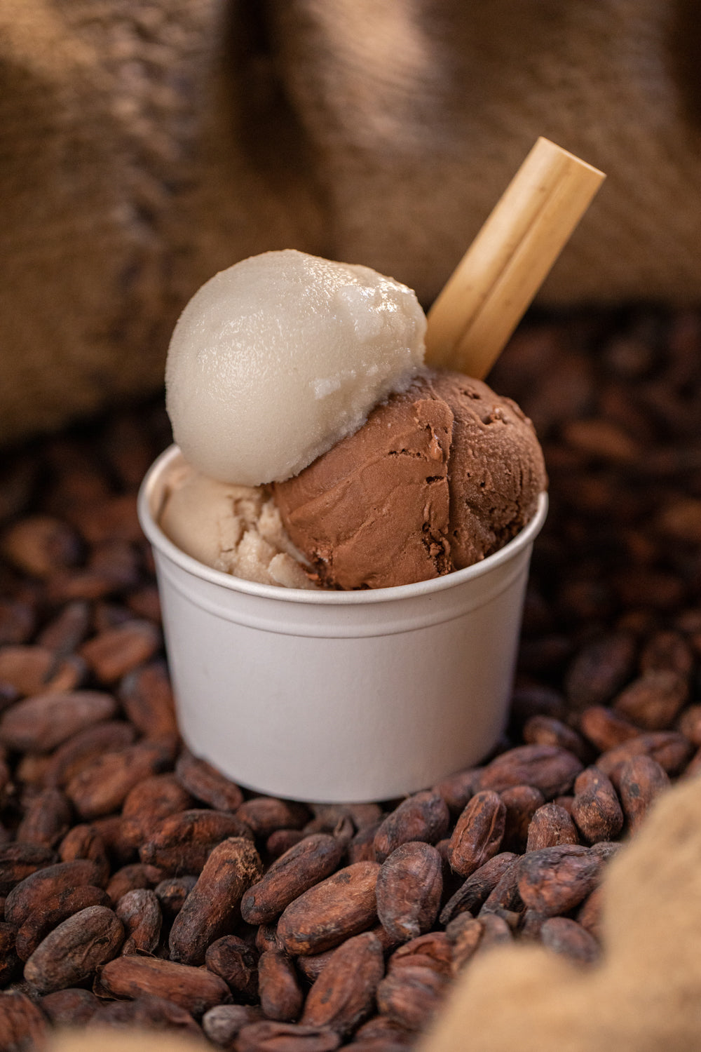 Glace à emporter (uniquement aux boutiques)