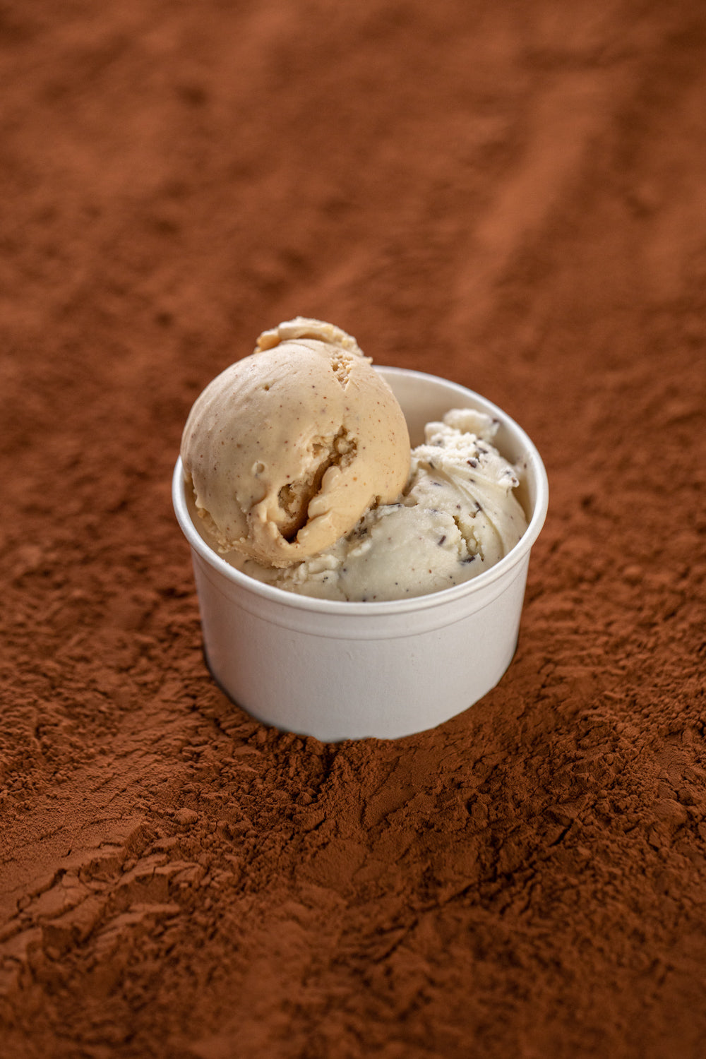 Glace à emporter (uniquement aux boutiques)