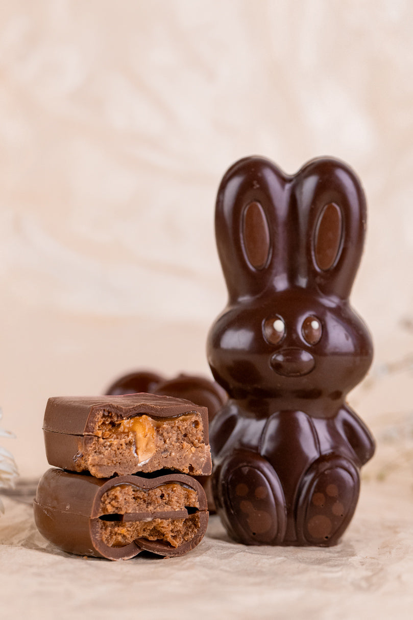 Petit lapin 🐰 — Pâques